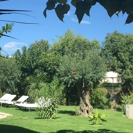 Louise-rose 4* Villeneuve-Loubet