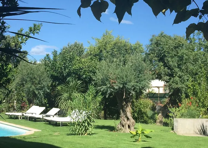 Louise-rose 4* Villeneuve-Loubet